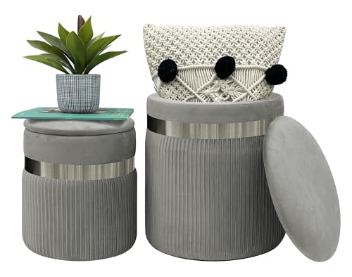 IlGruppone Set di 2 Pouf Contenitori in Velluto Design Moderno