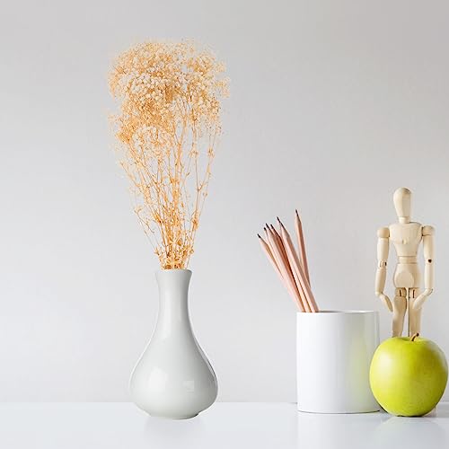 Ramo de flores secas Babysbreath para decoración miniatura 2