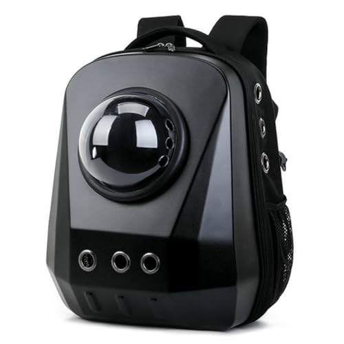 Quirix ybgL[obO ^ LpobNpbN ͂ȑω׏d |[^uobO FD JvZ LXƂ y ybgobO ^p LƌpobNpbN sp ^щ\ ʋC (ubN)