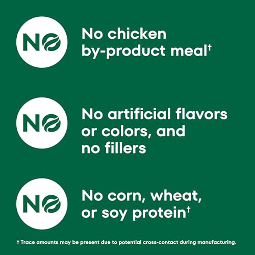 Image of Nutro Wholesome Essentials Natural Dry Cat Food, Dry Kitten Food Chicken & Brown Rice Kibble Formula, 5 lb. Bag (Pack of 3)