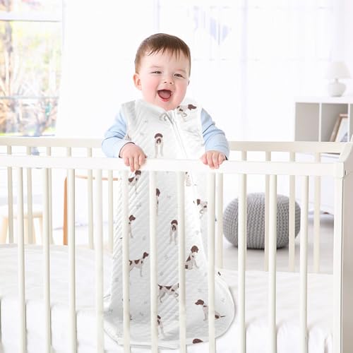 Image of vvfelixl Bright Funny Dinosaurs Baby Sleeping Bag Sleep Sack,Baby Wearable Blanket Sleep Suit for 0-6 Months