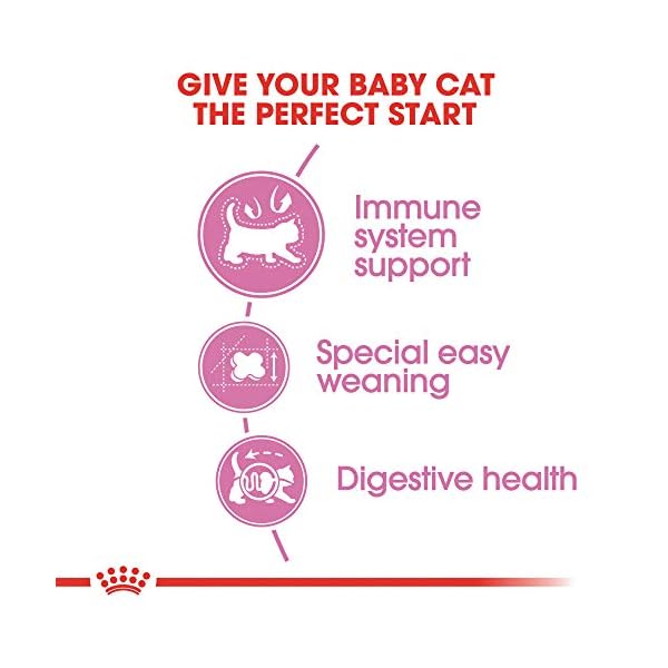 ROYAL CANIN FELINE HEALTH NUTRITION Mother & Babycat dry cat food, 3.5-Pound by Royal Canin – Bild 3