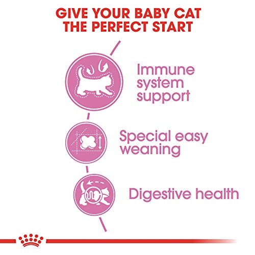 ROYAL CANIN FELINE HEALTH NUTRITION Mother & Babycat dry cat food, 3.5-Pound by Royal Canin
