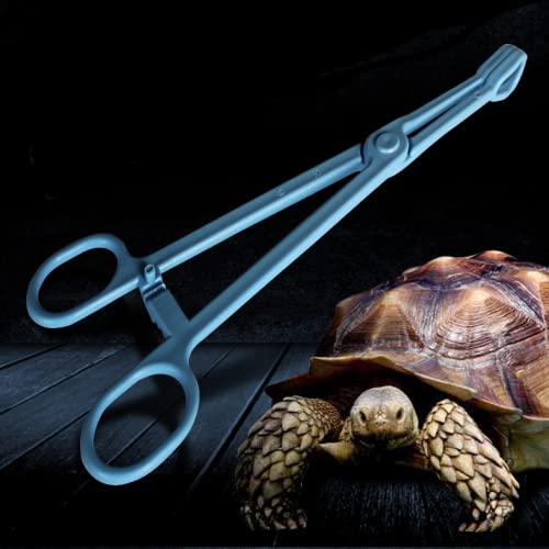 Foglia di plastica rettile cibo ciotola d'acqua piatto piatto rettile mangiatoia