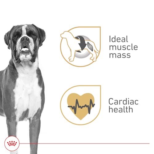 Royal Canin Breed Health Nutrition Boxer Adult Loaf in Sauce Dog Food, 13.5 oz (Pack of 12)