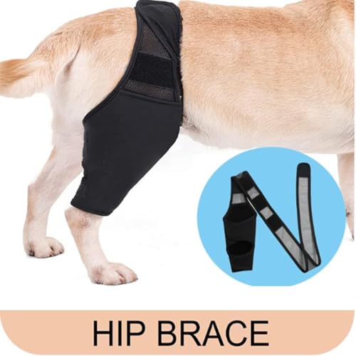 CiCixixi Hunde Kniebandage Hinterbein, Hunde Kniebandage, Hunde Hinterbein Bandage Hunde Klammer Hinterbein Hunde-Kniestütze für Hunde Klammer Hinterbein (L)