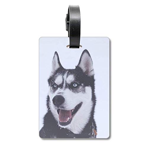Étiquette valise Husky grand chien avec motif haute définition