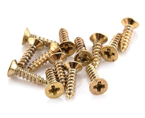Hawk Eye Self Tapping Brass Polished Screw (Size M2x8 2mm Diameter & Length 8mm) Approx-500pcs (GOLDEN) (B08XPRQKB9) Amazon Price History, Amazon Price Tracker