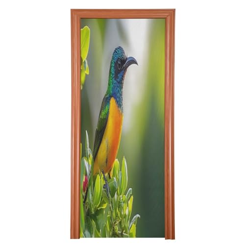 FLildon Beautiful Hummingbird Door Cover Decoration, Party Accessory Porch Decor for Festive Ornament Room Door Covers 36 x 98 Inch