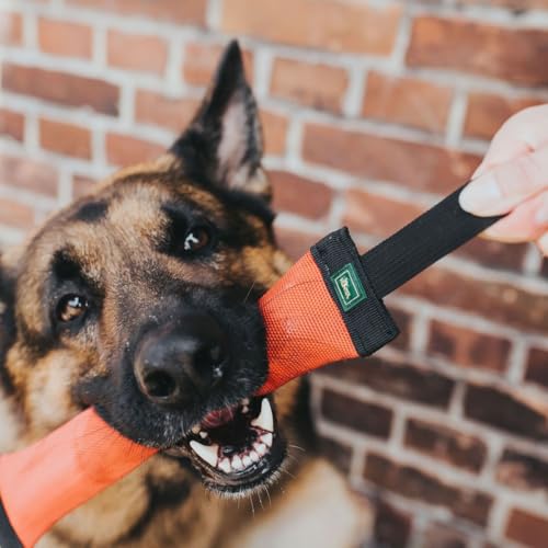 HUNTER Trient, Trainer Dummy für Hundetraining und Ausbildung