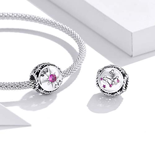 Image of 12 Constellation Charms 925 Sterling Silver Crystal Zircon Charms Family and Friends' Birthday Charm Birthstone Charms for Women Bracelets