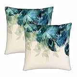 WONDERTIFY Floral Throw Pillow Covers Realistic Peacock Feathers Blue Shiny Foliage Square Pillow Cases Set of 2 for Decorative Cushion Bed Couch Sofa 18'X18'