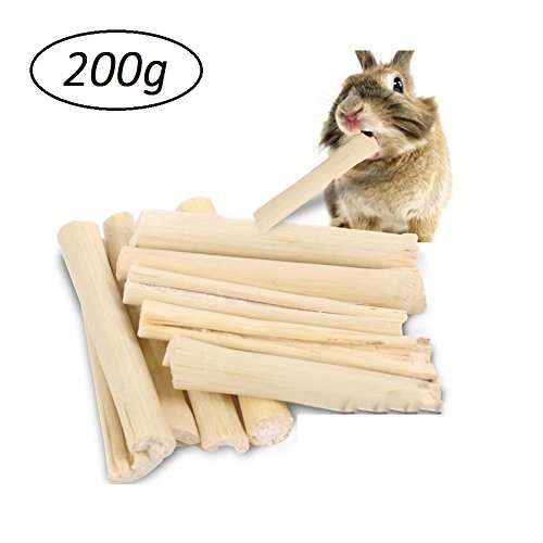 23 Best Rabbit Chew Toys in 2020 (Review and Guides)