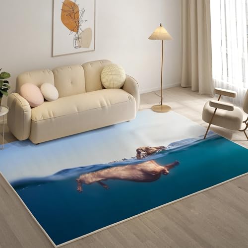 _CrOEhbO J[ybg O O}bg~ߕt 􂦂 120x160cm O~ h_j R hL O J[ybg I[V[Y KɎgp g[ zbgJ[ybgΉ ybg ӂӂ픧G tlO