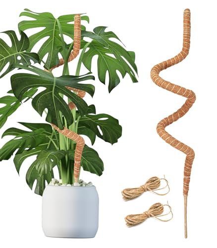 Haoledy 120cm Rankhilfe Monstera, Biegbarer Moosstab für Monstera Pflanzenstütze mit 2 stück Juteseilen 2m, 7mm Aluminiumkern Kokosstab Pflanzen Rankhilfe Pflanzenstab Monstera für Zimmerpflanzen