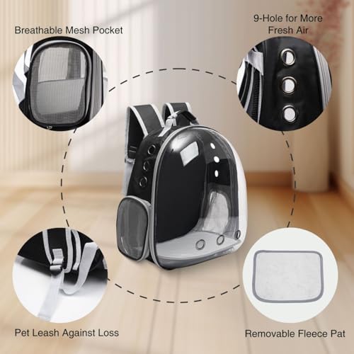 Vivicreate Large Transparent Bubble Backpack