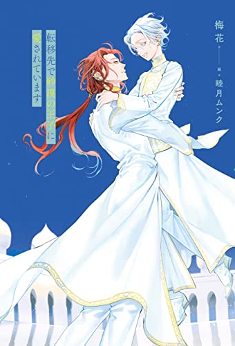 転移先で砂漠の王子に愛されています (アンダルシュノベルズ)