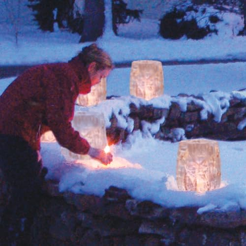 Molde para linterna de hielo acanalado miniatura 3