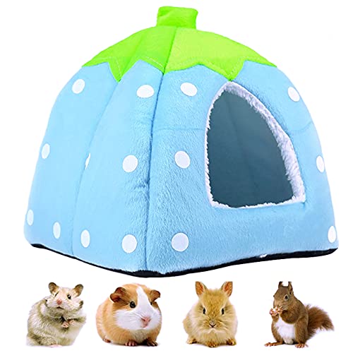 Amazon.co.uk Best Sellers The most popular items in Small Animal Beds