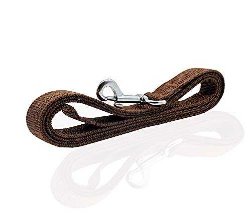 Durable Nylon Dog Leash 16 Feet Long, Walking Training Dog Leashes For Medium Large Dogs(1" X 16 Ft, Brown) #TOP2
