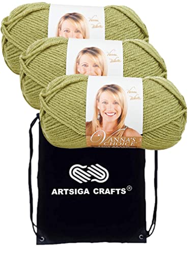 Image of Lion Brand Yarn Vanna'S Choice 860-173 Dusty Green | 3 Skeins, Same Dye Lot, Project Bag, CYC #4 Worsted, 100% Acrylic, Ideal for Crochet, Knitting Blankets, Hats, Scarves