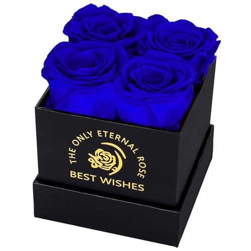 MestectPET Cajas de Rosa Eternas, Caja de Regalo de 4 Azules Rosas Natural Preservada, Día de San Valentín Aniversario Día de la Madre Cumpleaños Regalo romántico para Esposa Novia Mamá Abuela MestectPET Cajas de Rosa Eternas, Caja de Regalo de 4 Azules Rosas Natural Preservada, Día de San Valentín Aniversario Día de la Madre Cumpleaños Regalo romántico para Esposa Novia Mamá Abuela