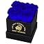 Coffret Cadeau Romantique Fleurs Préservées Roses + Collier Cœur « Je T’aime » En 100 Langues – Idéal Saint-Valentin, Mariage, Anniversaire