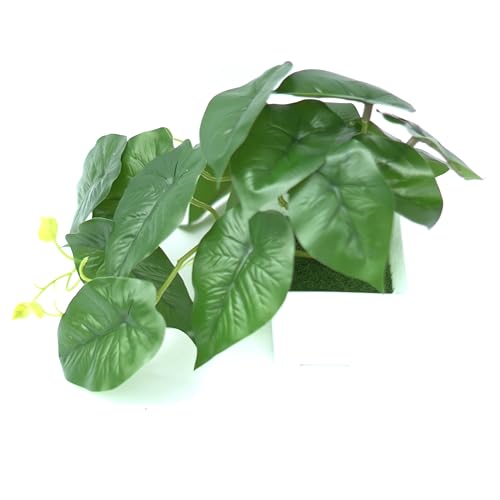 Image of Natural Look Artifical Green Plants with Pot for Decoration | Size - 23W x 15H | for Gifting, Home, Bedroom, Garden, Balcony, Office Corner, Living Room, New Year, Wedding Decoration Items