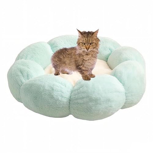 Lifetips XN[JL XN[J ӂӂybgxbh Lp 􂦂 ~ ~p NbV ʔNΉ ې􂢉 Lpxbh ~p ~ߒ 􂦂Jo[ ᔽNbV iACXO[j