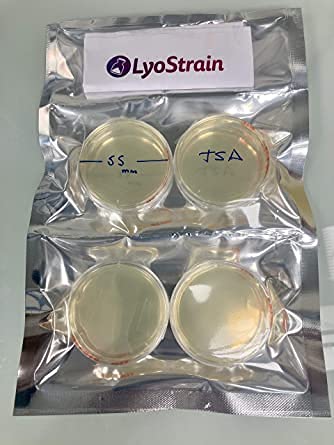 AGAR MACCONKEY PARA ENTEROBACTERIAS -20 PLACAS 55 mm- MEDIO CULTIVO MICROBIOLOGICO