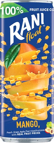 Rani Float Mango Fruit Juice Drink, 100% Fruit Juice Content with Real Mango Chunks, Imported from Dubai, No Added Sugar, No Artificial Colors, 8oz (Pack of 24)