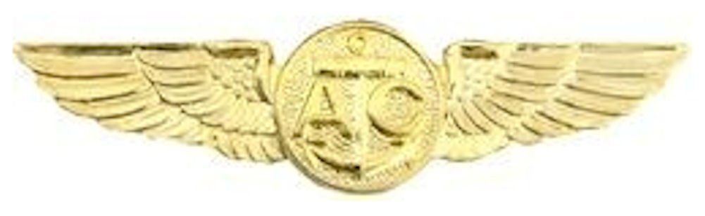 HMC Naval Air Crew Wings Small Pin,Gold,1 1/8"