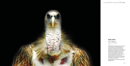 Wildlife Photographer of the Year Portfolio 18