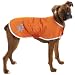 Zack & Zoey Nor'easter Blanket Coat for Dogs, 16" Medium, Orange