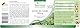 Fairvital | Grüntee Extrakt - 90 Kapseln - 1500mg Grüntee Extrakt pro Tagesdosis - 50% Polyphenole, 30% Catechine, 15% EGCG, 7% Koffein - HOCHDOSIERT - VEGAN - Camellia Sinensis