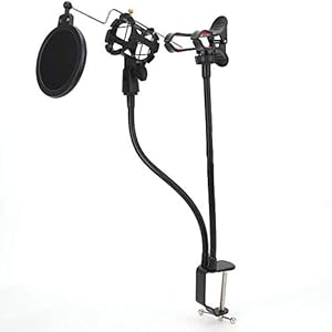 Microfoon Mount Stand, Gemakkelijk Opslag Dubbellaags Akoestische Filter Microfoon Mount Houder, interviews voor thuis…