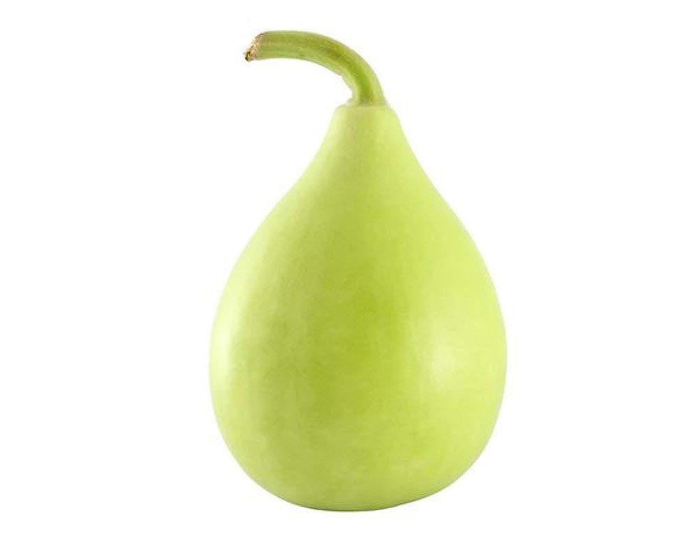 Golden Hills Farm Bottle Gourd Bulb Seeds, Non-Hybrid Lauki Vegetable Seeds 50 seeds (B07PNBXBKX) Amazon Price History, Amazon Price Tracker