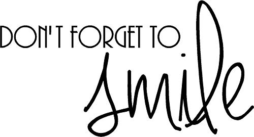 Wincraft Detroit Pistons Die Cut Decal