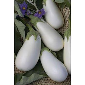 water eggplant Burpee Eggplant Midnight Moon Hybrid - Walmart.com