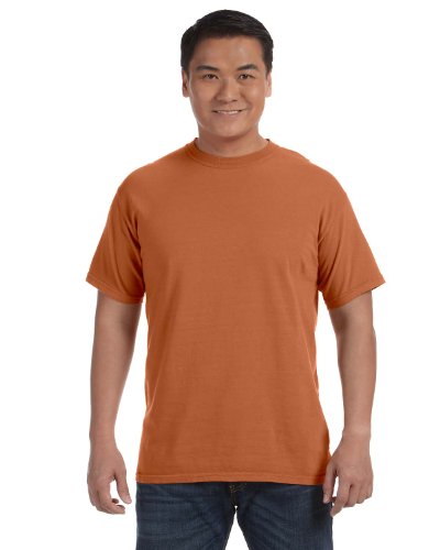 Image of Comfort Colors Adult Short Sleeve Tee, Style G1717