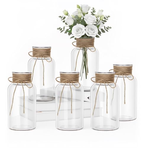 Mason Jars for Centerpiece, 6 Pack Vintage Farmhouse Glass Flower