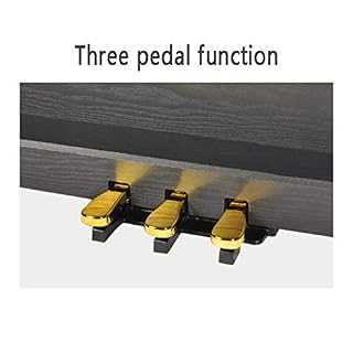 yankai 88 Kit Clavier Piano Clés Stand Clavier Piano Électrique, Joueur Professionnel, Piano Numérique Débutant, 88… - Les Beatles, Paul McCartney, John Lennon, RIngo Starr, George Harrison yankai 88 Kit Clavier Piano Clés Stand Clavier Piano Électrique, Joueur Professionnel, Piano Numérique Débutant, 88… – Image 5