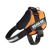 Julius-K9, IDC захранващ колан, размер: 3XL / 4,...