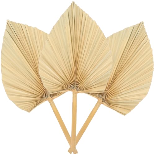 TOPBATHY Hojas De Palma Secas Decorativas 3 Piezas Abanicos De Palma para Decoración De Bodas Fiestas Temáticas Y Ambiente Natural Interior Y Exterior