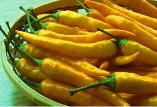 Amazon Co Jp 黄色いトウガラシキダチトウガラシの種 チリの種子 種子野菜 50 Seeds Diy 工具 ガーデン