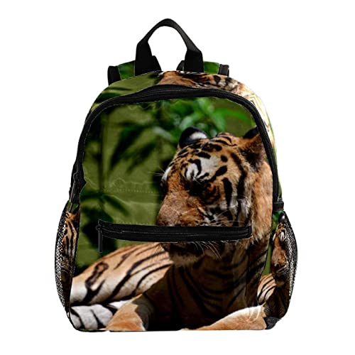 Sac à dos pour garçons et filles avec motif tigre mignon et léger 30,5 cm