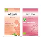 WELEDA - Lot Tisanes Allaitement Bio : Classique Verveine 20x2g & Fruits Rouges 20x2g - Favorise la Lactation Maternelle Naturellement, Hydrate, Saveurs Douces & Gourmandes