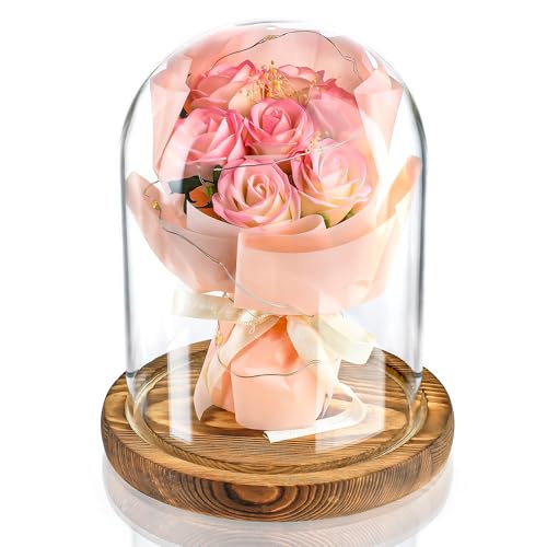 ZEERSHEE Glass Cloche Display Dome with Wooden Base