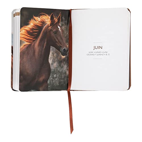 DRAEGER PARIS, chevaux - Image 3