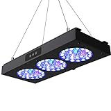 Die Helligkeit und Schalter der Weiß und blau Kanal können individuell oder gleichzeitig definiert werden.